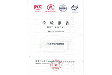 檢驗(yàn)報(bào)告