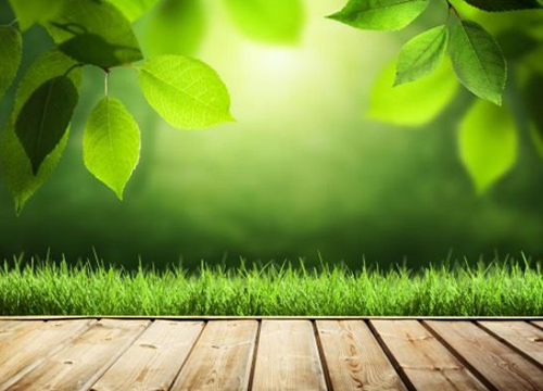 2019年挑地板 除了價格還應該看哪幾點？